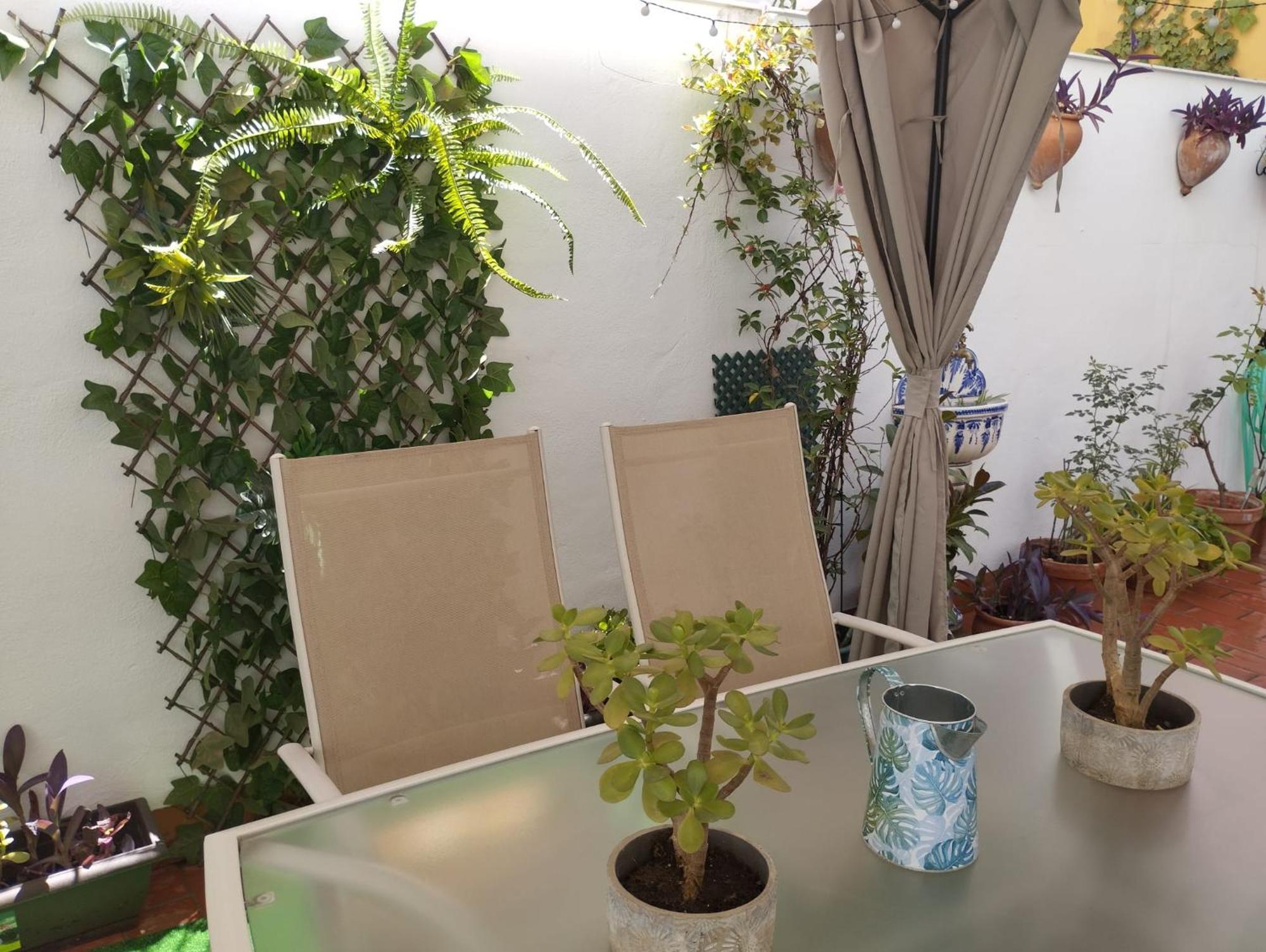 Patios Con Encanto Córdoba Exteriér fotografie