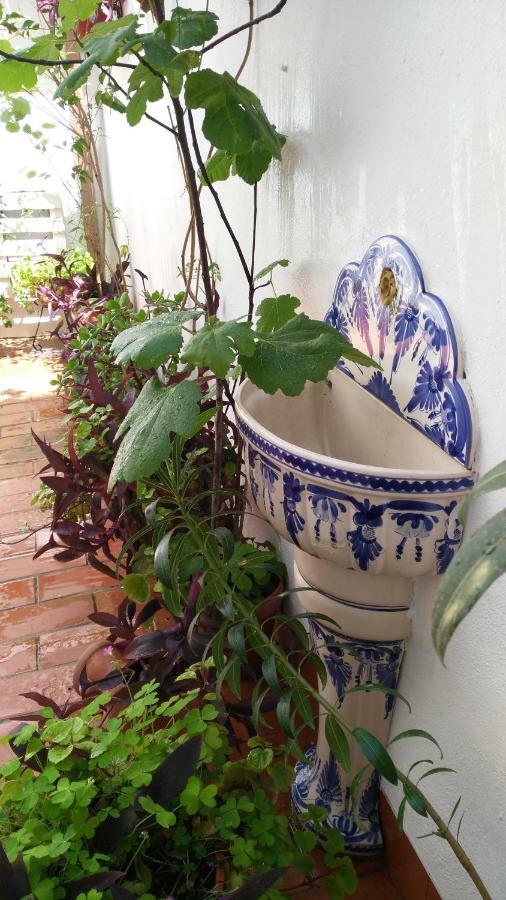 Patios Con Encanto Córdoba Exteriér fotografie